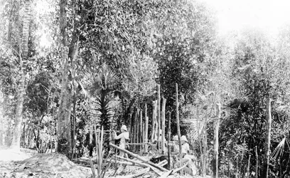 British Troops Fighting in the Burmese Jungle
